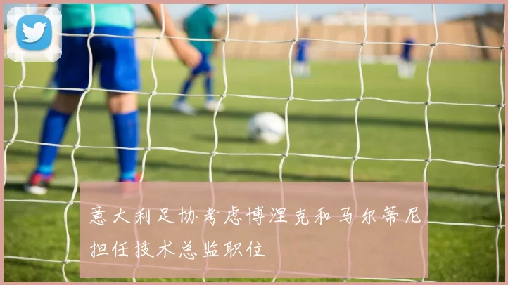 意大利足协考虑博涅克和马尔蒂尼担任技术总监职位