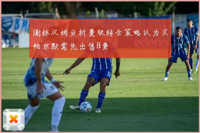 谢林汉姆分析曼联转会策略认为买帕尔默需先出售B费